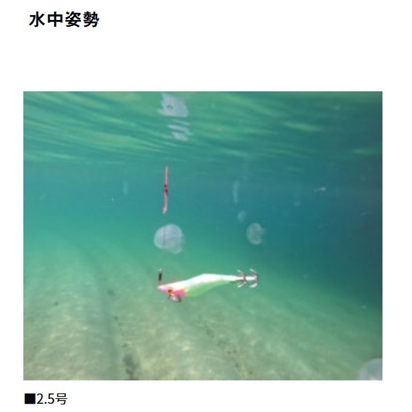 エメラルダス イカメタルドロッパーエギタイプRV25